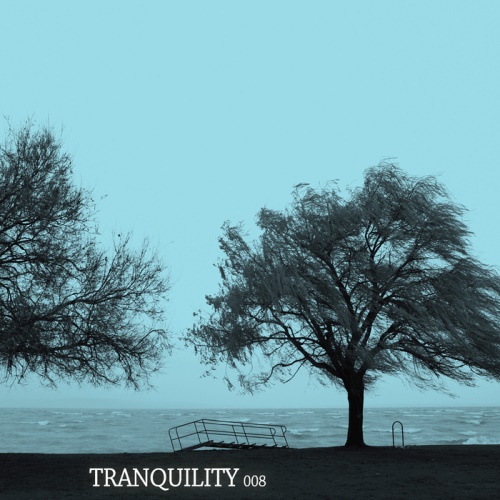 VA - Tranquility 008 (2013)