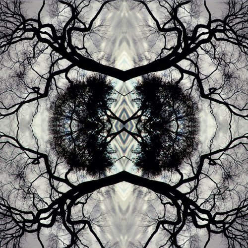 Adam Rudolph - Go: Organic Orchestra / Sonic Mandala (2013) MP3/FLAC