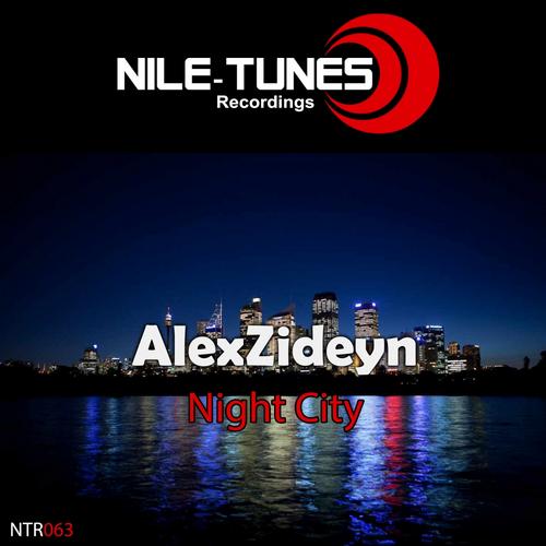 AlexZideyn - Night City (2013)