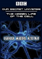  .    / Secret Universe: The Hidden Life of the Cell (2012) SATRip