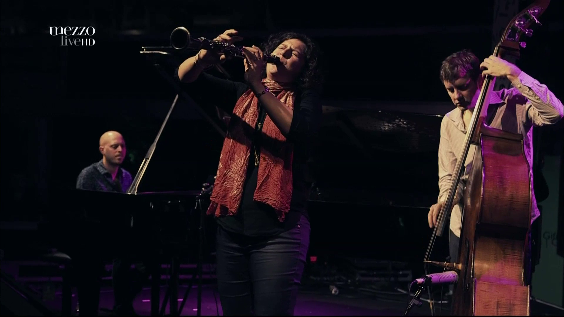 2013 Anat Cohen Quartet - At Istanbul Jazz Festival [HDTV 1080p] 4