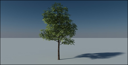 Tree 3d with Opacity Map