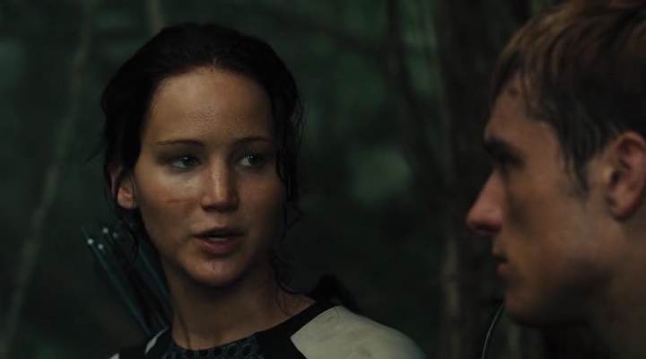  :    / The Hunger Games: Catching Fire (2013) HDRip | BDRip 720p | BDRip 1080p